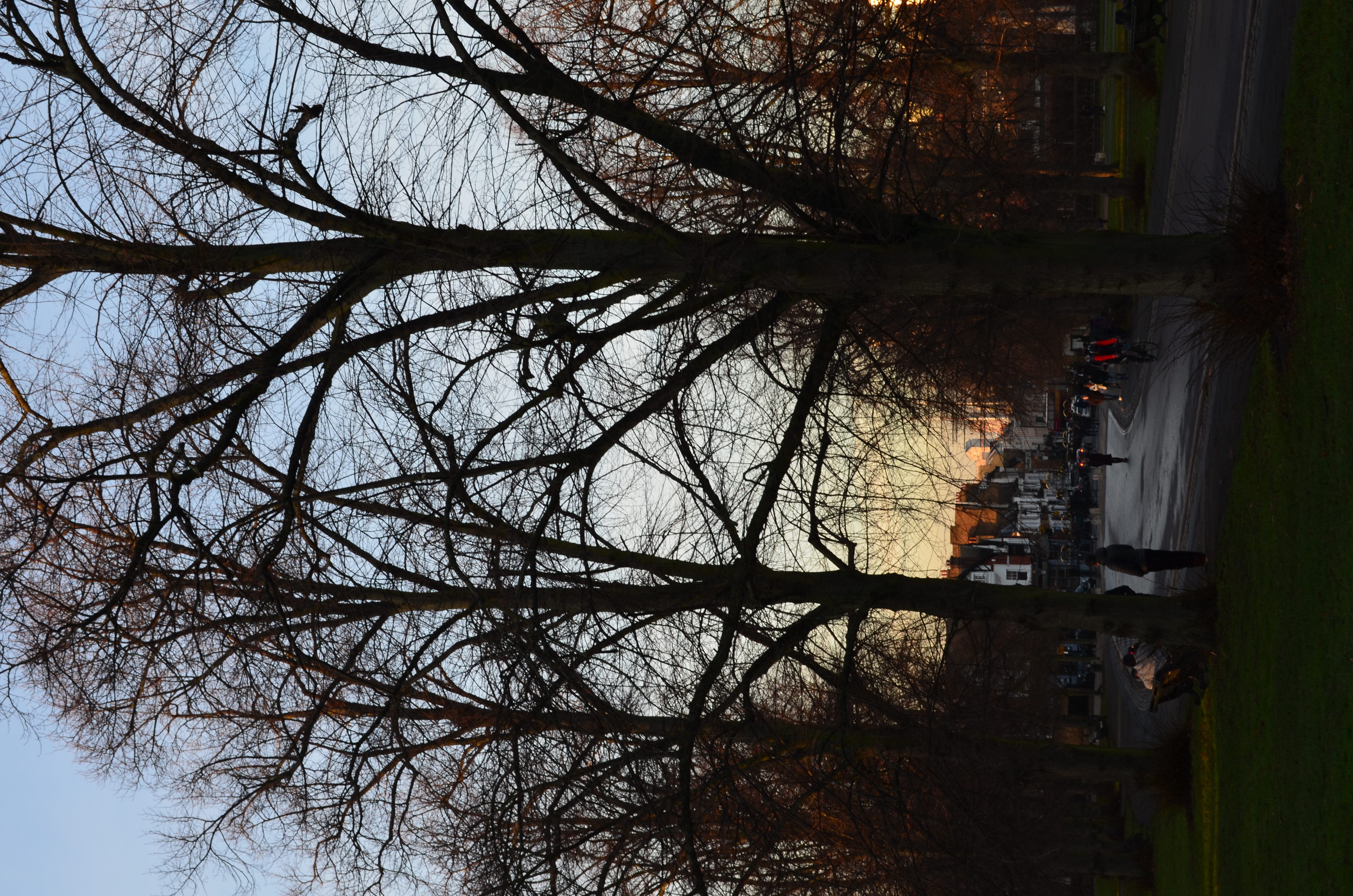 ./2018/15 - London/02 - Day 2/DSC_0176.JPG